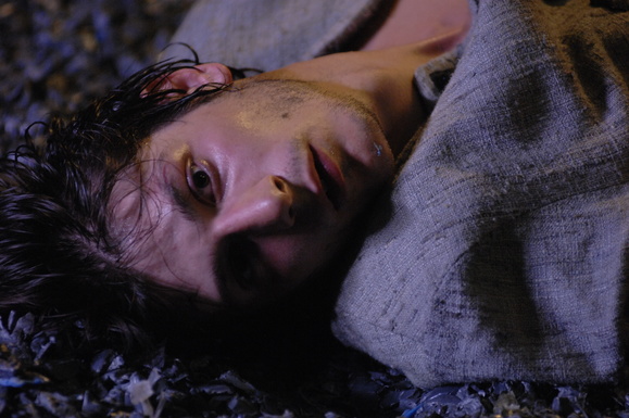  D2X0868