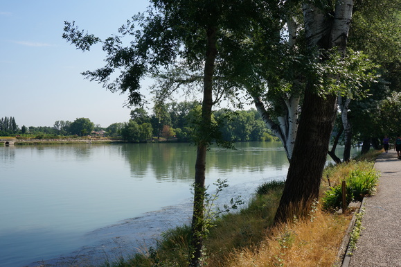 DSC00404