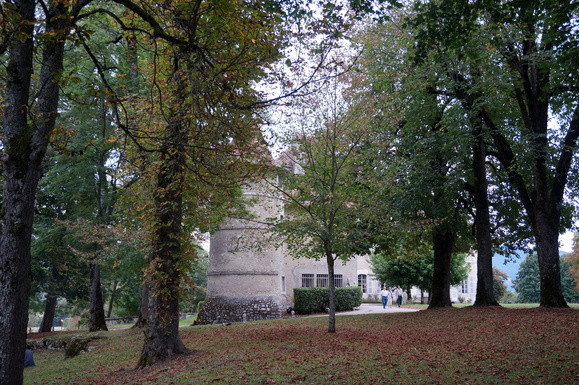 DSC02801