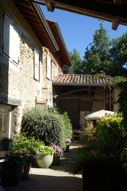 DSC01239