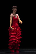  DSC0533