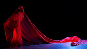 PEZT3653