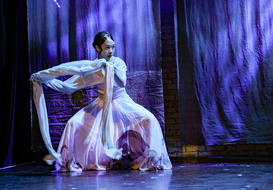 INDIGO Ping Shadow Dance-1