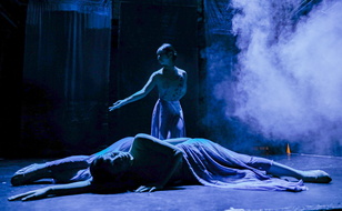 INDIGO Ping Shadow Dance-25