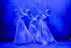 INDIGO Ping Shadow Dance-29