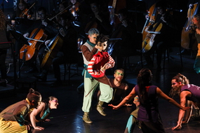 Pedro y el Lobo FIAV-16