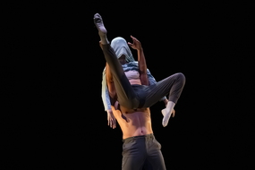  DSC1481