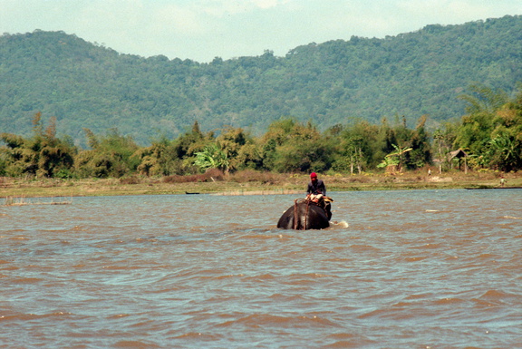 Scan-120628-00073