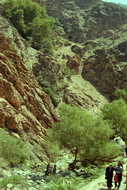 Teheran 08