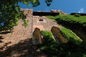 DSC 5555