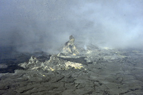  D3Z9979