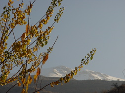 12-04-2012 DSC07645