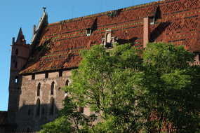 DSC 5603