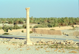 Scan-120531-0088