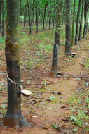 200 8755