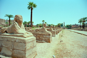 Scan-120514-0067