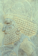 Persepolis 44