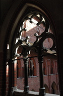 DSC 5524