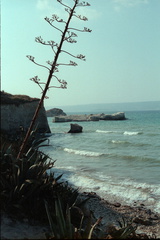 Crete 1-3871