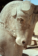 Persepolis 42