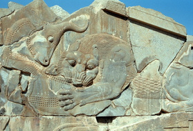 Persepolis 33