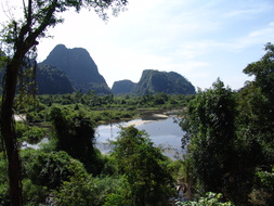 DSC06004