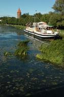 DSC 5589