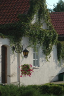 DSC 5080