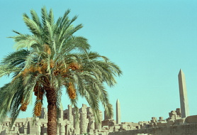Scan-120514-0032