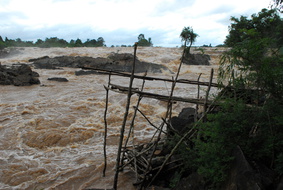200 8526