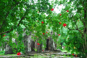 200 8359