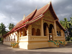 DSC06539