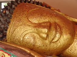 DSC06352
