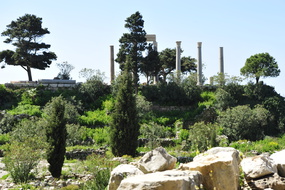22-03-2012  D329353
