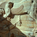 Persepolis 50