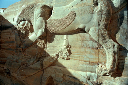 Persepolis 50