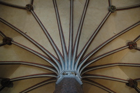 DSC 5522