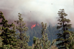 Scan-120607-0078
