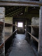 DSC00352
