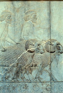 Persepolis 60