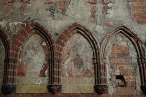 DSC 5529