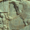 Persepolis 29