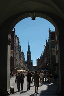 DSC 5641