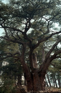 Scan-120816-0074