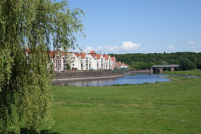 DSC07909