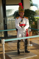 DSC04010
