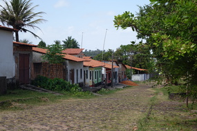 DSC04118