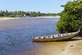  D608778
