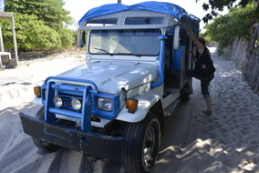  D608784