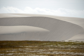  D608935